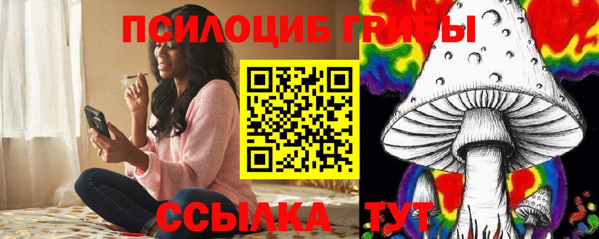 Псилоцибиновые грибы Cubensis Красногорск